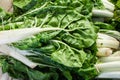 Swiss chard bunch raw and fresh Royalty Free Stock Photo