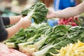 Swiss chard bunch raw and fresh Royalty Free Stock Photo