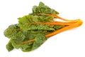 Swiss chard