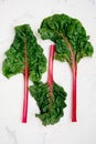 Swiss chard leaves on a white background Royalty Free Stock Photo