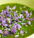 Swiss Chard and Potato Cream Soup Chopped Chives with Flowers Royalty Free Stock Photo