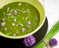 Swiss Chard and Potato Cream Soup Chopped Chives with Flowers Royalty Free Stock Photo