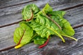 Swiss chard rainbow over wood table Royalty Free Stock Photo