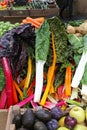 Swiss chard Royalty Free Stock Photo