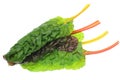 Swiss chard in a white background Royalty Free Stock Photo