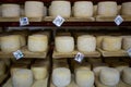 Swiss cheese cellar Royalty Free Stock Photo