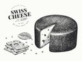 Swiss cheese illustration. Hand drawn vector dairy illustration. Engraved style emmental head. Vintage food illustration