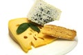 Swiss cheese roquefort and camembert