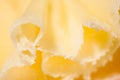 Swiss cheese rosette