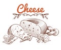 Swiss cheese sketch. Drawing vintage art ingredients for recipe with sliced cheddar and dairy gouda vector isolated