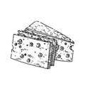 swiss cheese sketch hand drawn vector