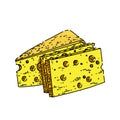 swiss cheese sketch hand drawn vector