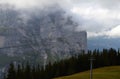 Swiss Cloudy Mountains, Tree Lines