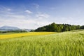 Swiss countryside