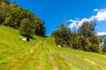 Swiss countryside Royalty Free Stock Photo