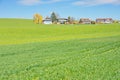 The Swiss Countryside Royalty Free Stock Photo