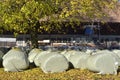 Swiss farm in the middle of nature. Wabern Royalty Free Stock Photo