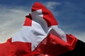 Swiss flag on the matterhorn Royalty Free Stock Photo