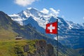 Swiss flag Royalty Free Stock Photo
