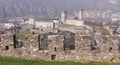 Swiss fortress viewed from mountain