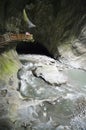 Swiss Gorges du Trient