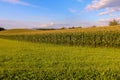 Swiss green field with blue sky - beauty view