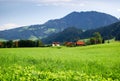 Swiss green grass field and mountains