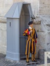 Swiss Guard guarding the Vatican Royalty Free Stock Photo