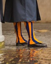 Swiss Guard in Rain Royalty Free Stock Photo