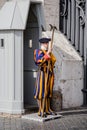 Swiss guard standing guard at the Vatican in Rome Italy