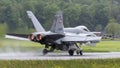 Swiss Hornet Royalty Free Stock Photo