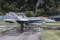 Swiss Hornet