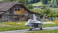 Swiss Hornet Royalty Free Stock Photo