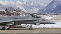 Swiss Hornet at Sion