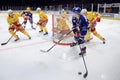 Swiss Ice Hockey Federation - NLA - ZSC Lions vs EHC Biel - playing puck behind opposite`s goal