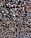 Swiss Kindling Wood stack Closeup