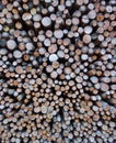 Swiss Kindling Wood stack Closeup Royalty Free Stock Photo