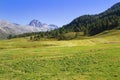 Swiss landscape Royalty Free Stock Photo