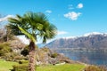 Swiss landscape: garden Royalty Free Stock Photo