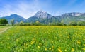 Swiss meadows Royalty Free Stock Photo