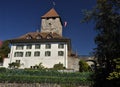 Swiss medieval castle, Spiez Switzerland