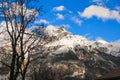 Swiss Mountain with tree foreground Royalty Free Stock Photo