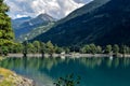 Swiss mountains, cloudy sky and forest