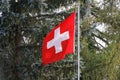 swiss national flag with aluminum pole waving in the wind in front of a green fir forest. number three. on day without people Royalty Free Stock Photo