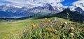 Swiss nature scenery. Scenic snowy Alps mountains and wild floral meadows. Beauty in nature. Switzerland landscape. Royalty Free Stock Photo