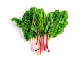 Swiss rainbow chard isolated on white Royalty Free Stock Photo