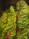 Swiss Rainbow Chard