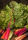 Swiss Rainbow Chard