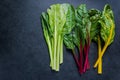 Swiss rainbow chard, vibrant vegetable Royalty Free Stock Photo