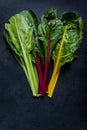 Swiss rainbow chard, vibrant vegetable Royalty Free Stock Photo